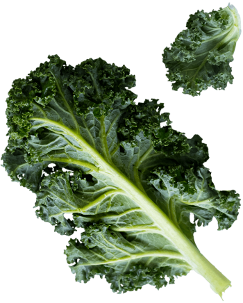 kale_2